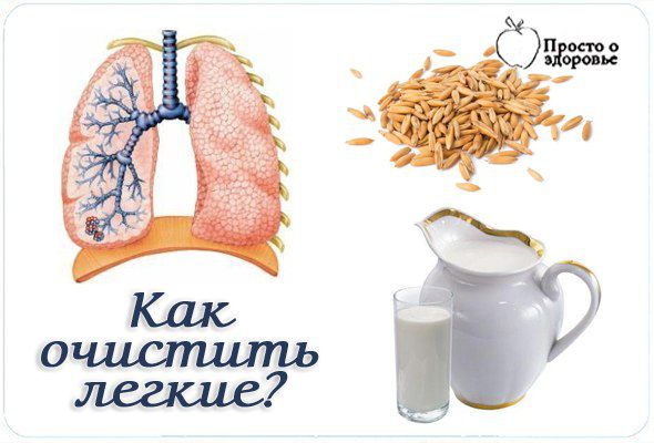 Молоко как очищение легких Молоко как очищение легких