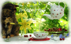 Музыкальная открытка 
