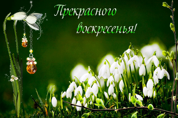 Музыкальная открытка Прекрасного воскресного дня !