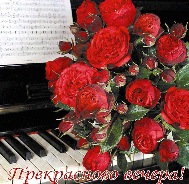 Музыкальная открытка Прекрасного вечера !