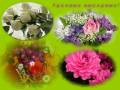 Музыкальная открытка 