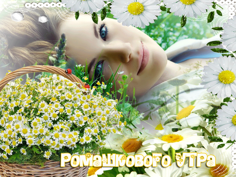 Музыкальная открытка Ромашкового утра