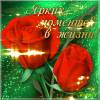 Музыкальная открытка 