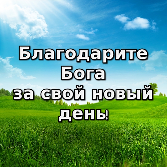 Музыкальная открытка Жить