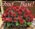 Музыкальная открытка 